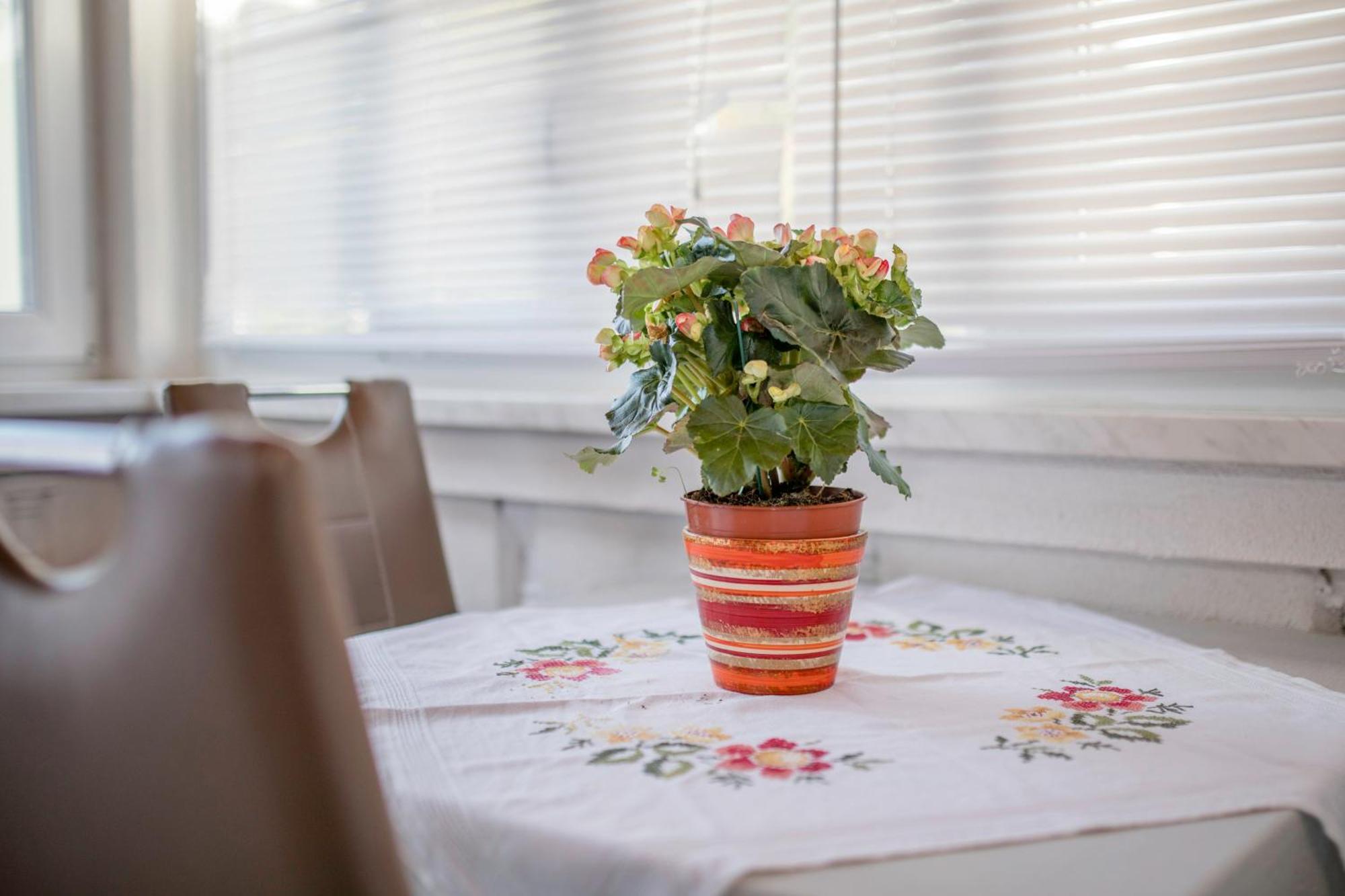 Kazo Apartment Раб Екстериор снимка